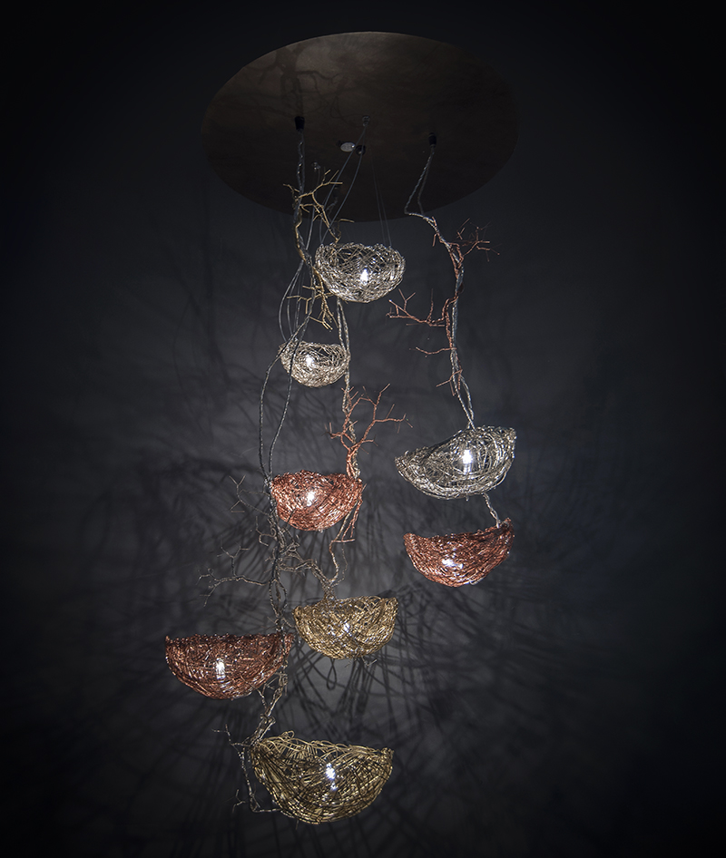 Nest Collection